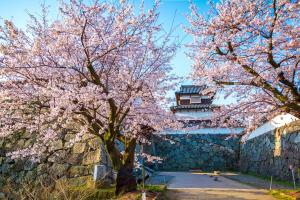 a cherry tree in front of a stone wall at yah homes takasago in Fukuoka