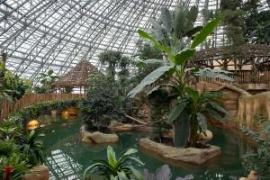 a greenhouse with a pool of water with plants at Relais Touraine Sologne in Noyers-sur-Cher +18 photos