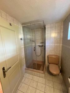 ein Badezimmer mit Dusche und Toilette in der Unterkunft Alter Lärch in Blatten bei Naters