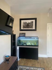 TV a/nebo společenská místnost v ubytování Cosy London Home with 2 Bedrooms