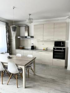 Kuchyň nebo kuchyňský kout v ubytování Apartament Somesului Cluj- Floresti