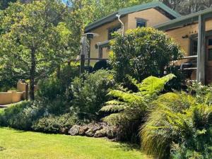 a garden in front of a house with plants at Coral Fern Retreat in Forrest