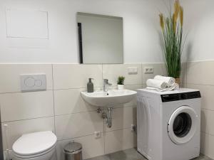 a bathroom with a washing machine and a sink at Deluxe 5-Bedroom Apartment with Modern Kitchen and Two Bathrooms in Flörsheim