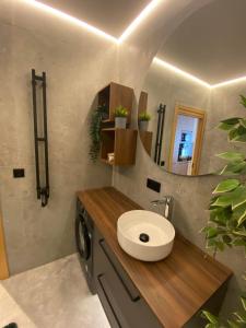 a bathroom with a sink and a mirror at Two Bedroom Riverland Apartment in VNO