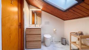a bathroom with a sink and a toilet and a skylight at Residenza Marmarole by Ca-Sa Check in Pieve di Cadore