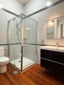 Un baño con ducha, inodoro y lavabo. en Pombeiro Apartments, en Oporto