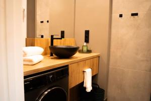 een badkamer met een kom op een aanrecht naast een wasmachine bij Domki Natura Zator in Graboszyce +21 foto's