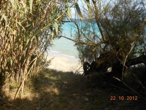 vista sulla spiaggia attraverso gli alberi di Case vacanza Gli Oleandri a Otranto