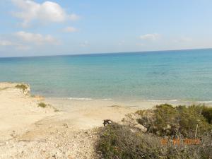 uma vista para o oceano a partir de uma praia arenosa em Case vacanza Gli Oleandri em Otranto