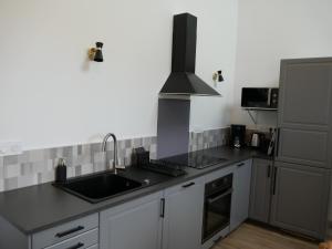 una cucina con lavello e fornello di Le Paon du jour en Touraine a Veigné