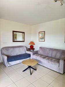 Ruang duduk di Spacious Luxury apt, 12 min walk to Croisette beach and Conf Centre