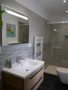 a bathroom with a sink and a shower and a toilet at Le Paon du jour en Touraine in Veigné +10 photos