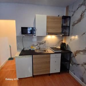 Una pequeña cocina con fregadero y microondas. en Villa Regio Studio & Garden, en Vila do Conde