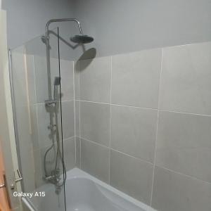 a bathroom with a shower and a bath tub at Villa Regio Studio Kitchen & Garden in Vila do Conde +10 photos