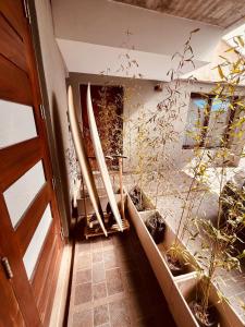 a hallway with potted plants and surfboards on the wall at Casa Waikiki in Mar del Plata