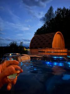 a person holding a glass of wine in front of a pool at Górska Ostoya in Szlembark