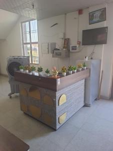 a counter with potted plants on it in a room at Rest area 