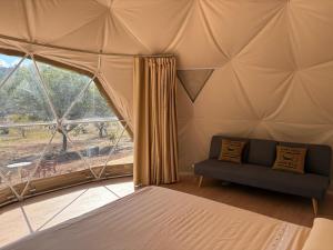 Zimmer mit einem Bett und einem Sofa in einem Zelt in der Unterkunft Centro Astro Turismo San Benito in Cazalla de la Sierra
