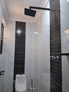 La salle de bains est pourvue de toilettes et d'une douche avec du carrelage noir. dans l'établissement Moonshine walkers furnished apartments, à Naivasha
