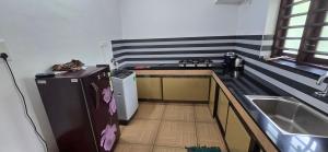 eine kleine Küche mit Spüle und Kühlschrank in der Unterkunft 2 bhk apartment near Aster medcity Kochi in Ernakulam