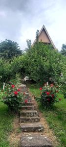 Zahrada ubytování Negovanovic Vikendica