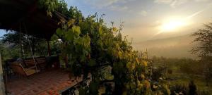 Východ nebo západ slunce při pohledu z apartmánu nebo okolí