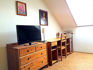 TV a/nebo společenská místnost v ubytování Apartmány Vojta