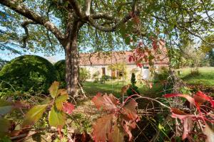 a tree in a yard with a house in the background at Gite de La Fontaine de Laumede in Saint-Chamassy