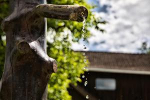 a bird bath with water coming out of it at Appartements Grafhube in Verditz