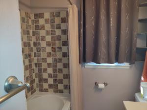 a bathroom with a shower and a toilet and a window at Cozy Brickhouse Indiana Village in Lincoln +8 photos