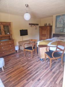 Μια τηλεόραση ή/και κέντρο ψυχαγωγίας στο Romantikzimmer in Striesen