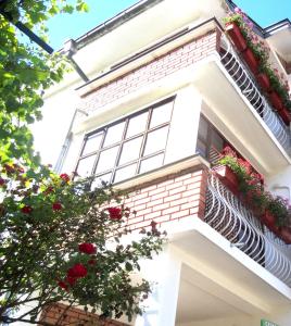 Galeriebild der Unterkunft Family hotel Rose in Pavel Banya