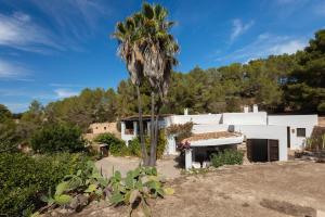 una palmera frente a una casa blanca en New! Villa Can Gibert, en Sant Mateu d’Albarca