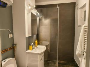 a bathroom with a shower and a sink and a toilet at Ospitalier Student Grey - spacious close to UVT in Timişoara +13 photos