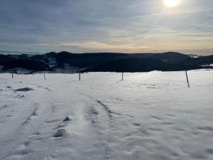 a snow covered field with footprints in the snow at Appartement 4 personnes in Orbey