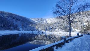 a tree sitting next to a lake in the snow at Appartement 4 personnes in Orbey