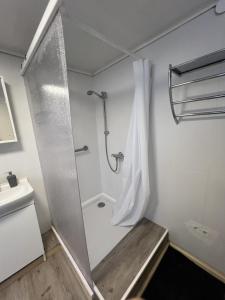 a bathroom with a shower with a shower curtain at D1 - Klein aber fein in Wernigerode +17 photos