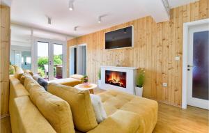 Μια τηλεόραση ή/και κέντρο ψυχαγωγίας στο Pet Friendly Home In Mrzlo Polje