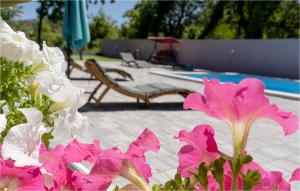 un ramo de flores rosas frente a una piscina en Amazing Apartment In Zmijavci, en Zmijavci