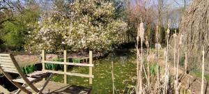 eine Bank, die neben einem Teich im Park sitzt in der Unterkunft Chalet 15 pers écologique et moderne de 7 chambres à 15 km de la mer in Bernay-en-Ponthieu