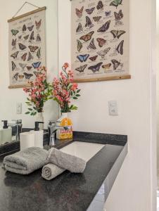 アカプルコにあるAdults Only Condo Close to the Beachの壁に蝶が描かれた黒いカウンタートップのあるバスルーム
