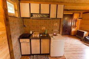 Köök või kööginurk majutusasutuses Etno Apartment Vrdnik