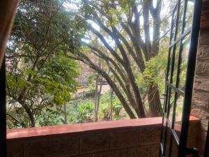 Κήπος έξω από το G Suites Westlands