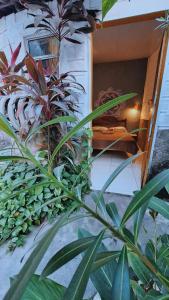 a group of plants on the side of a building at casa84 in Barra de São Miguel
