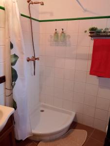 a bathroom with a shower with a toilet and a sink at Villa Mayxar in Almáchar +15 photos