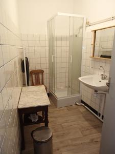 a small bathroom with a sink and a shower at Appartement Authentique Montaigut in Montégut