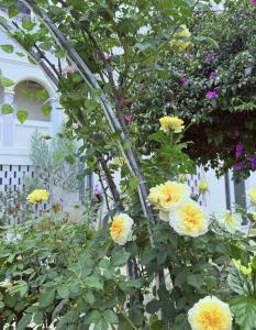 ダラットにあるLe Macaron Garden Stay - City Boutique Hotel Da Latの木の上の黄色い花束