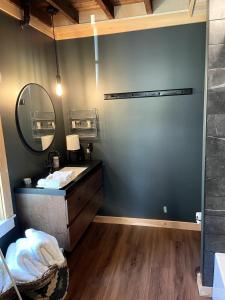 Cottage That Overlooks The Field的带水槽和镜子的浴室