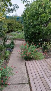 a garden with flowers and a wooden walkway at L'Hermitage in Auxi-le-Château