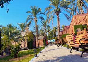 Vườn quanh Orange Resort